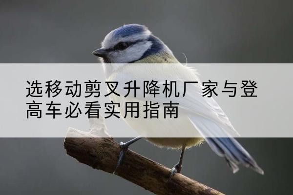 海阳电动升降机厂家-选移动剪叉升降机厂家与登高车必看实用指南