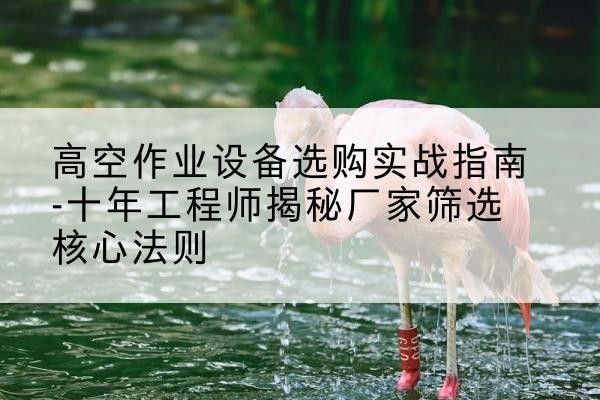 海阳剪叉式升降机厂家-高空作业设备选购实战指南-十年工程师揭秘厂家筛选核心法则