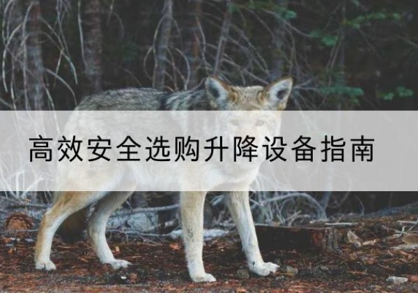 海阳升降货梯厂家推荐-*安全选购升降设备指南