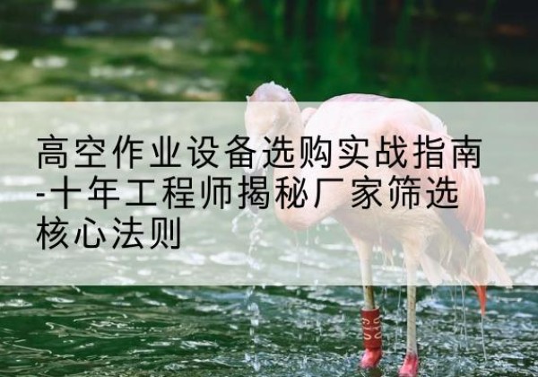 海阳剪叉式升降机厂家-高空作业设备选购实战指南-十年工程师揭秘厂家筛选核心法则